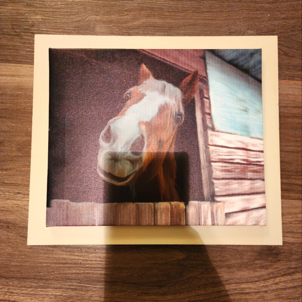 Horse wall picture